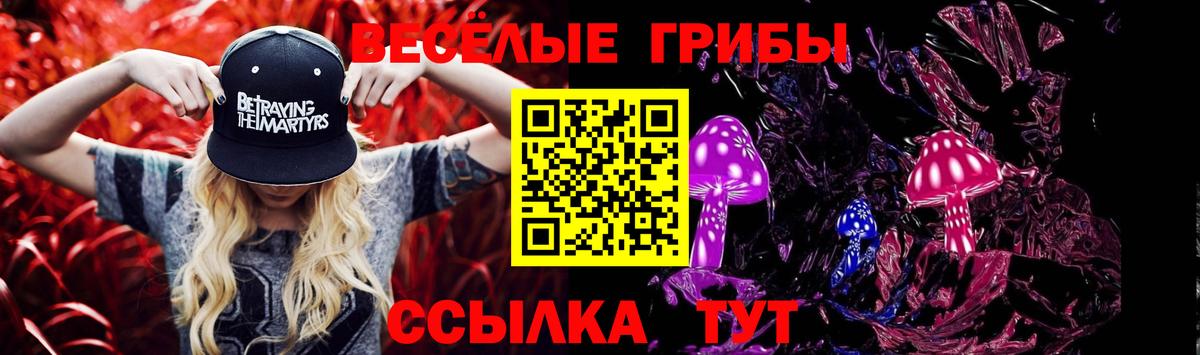 как найти закладки  Вход с VPN  Лесной  Галлюциногенные грибы Psilocybe 