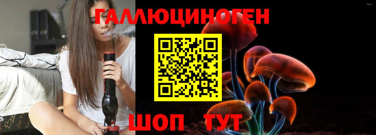 Псилоцибиновые грибы ЛСД Лесной